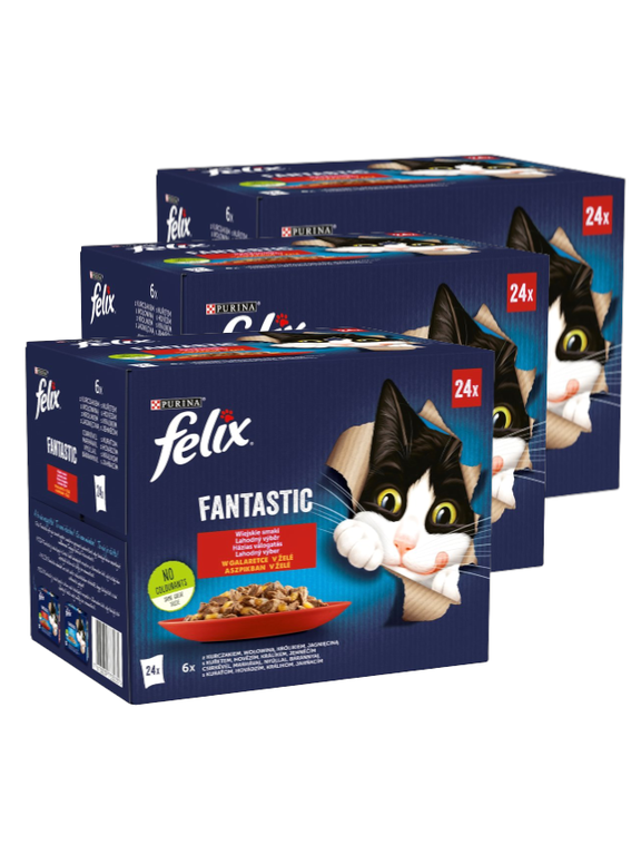 FELIX Fantastic Wiejskie Smaki w galaretce: 72x85g