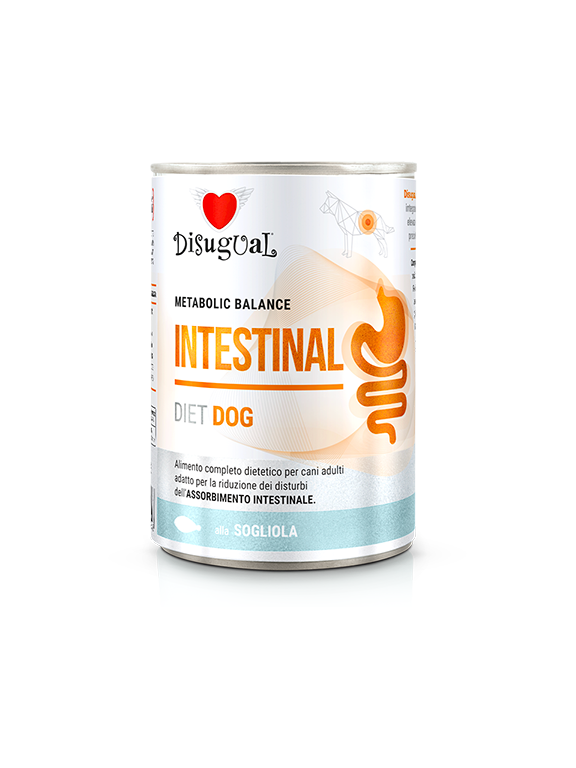 Disugual Karma mokra dla psa Weterynaryjna INTESTINAL Sola (dorosły) 400g