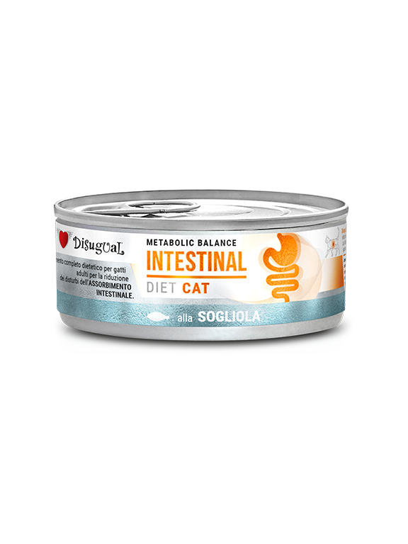 Disugual Karma mokra dla kota Weterynaryjna INTESTINAL Sola (dorosły) 85g