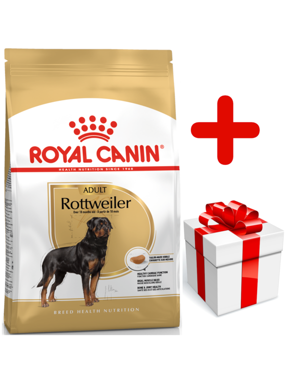 ROYAL CANIN Rottweiler Adult 12kg karma sucha dla psów dorosłych rasy rottweiler  + niespodzianka dla psa GRATIS!