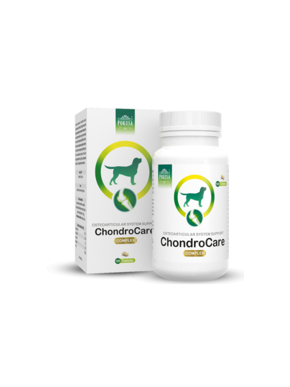 POKUSA ChondroLine ChondroCare 120 tabl.