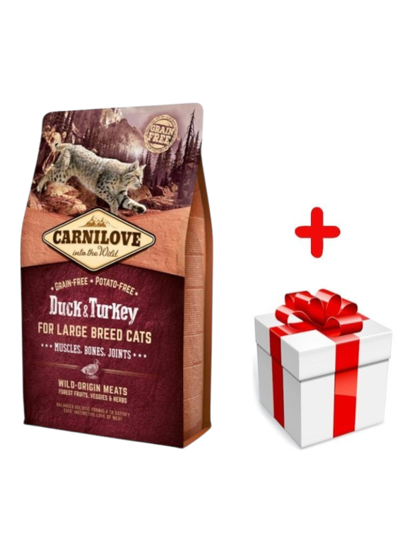 CARNILOVE Cat Duck & Turkey For Large Breed 2kg + niespodzianka dla kota GRATIS!