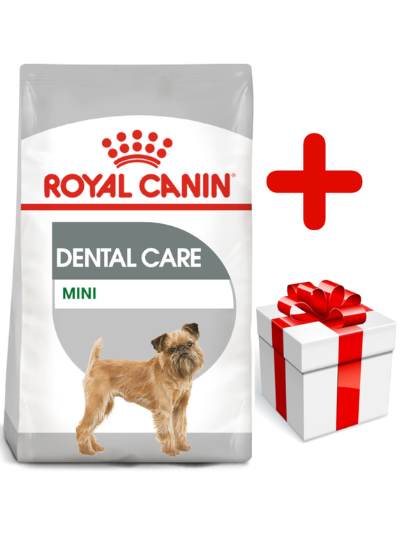 ROYAL CANIN CCN Mini Dental Care 8kg  + niespodzianka dla psa GRATIS!