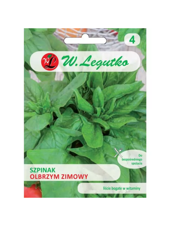 Szpinak Olbrzym Zimowy