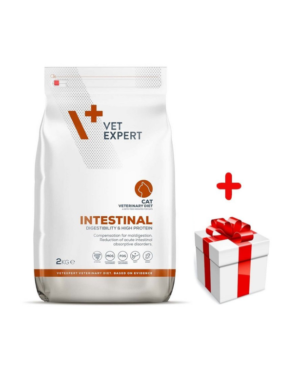 VETEXPERT Cat Intenstinal 2kg + niespodzianka dla kota GRATIS!