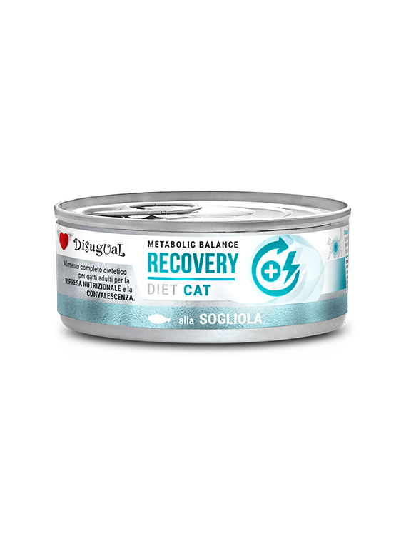 Disugual Karma mokra dla kota Weterynaryjna RECOVERY Sola (dorosły) 85g