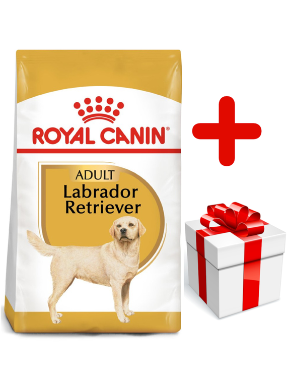 ROYAL CANIN Labrador Retriever Adult 12kg karma sucha dla psów dorosłych rasy labrador retriever + niespodzianka dla psa GRATIS!