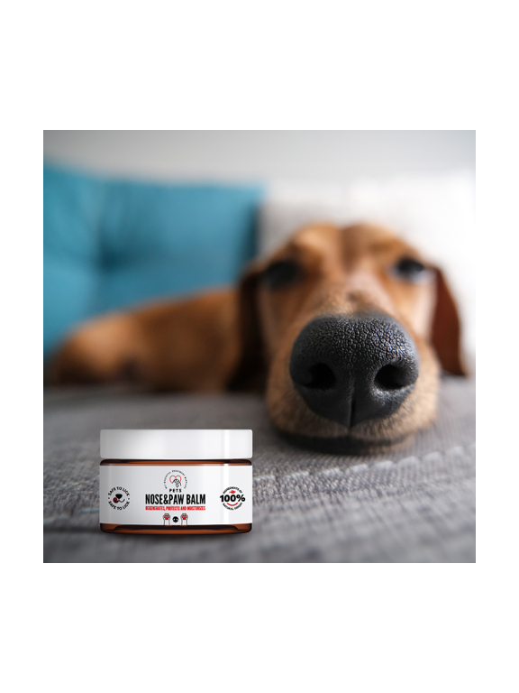 PET Nose & Paw Balm / Balsam do nosa i łapek 75ml – 100% naturalny skład