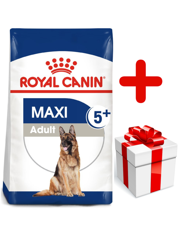 ROYAL CANIN Maxi Adult 5+ 15kg karma sucha dla psów starszych, od 5 do 8 roku życia, ras dużych + niespodzianka dla psa GRATIS!