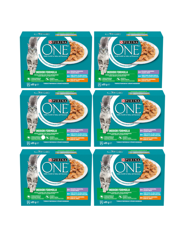 Purina One Indoor Formula Karma dla dorosłych kotów 6x(12x85g)