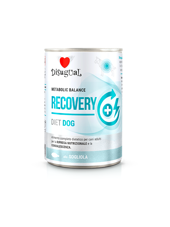 Disugual Karma mokra dla psa Weterynaryjna RECOVERY Sola (dorosły) 400g