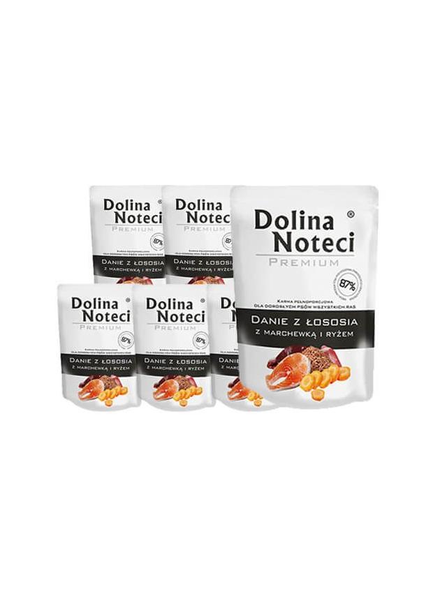 DOLINA NOTECI Danie z łososia z marchewką i ryżem 10x300g-karma mokra dla psa