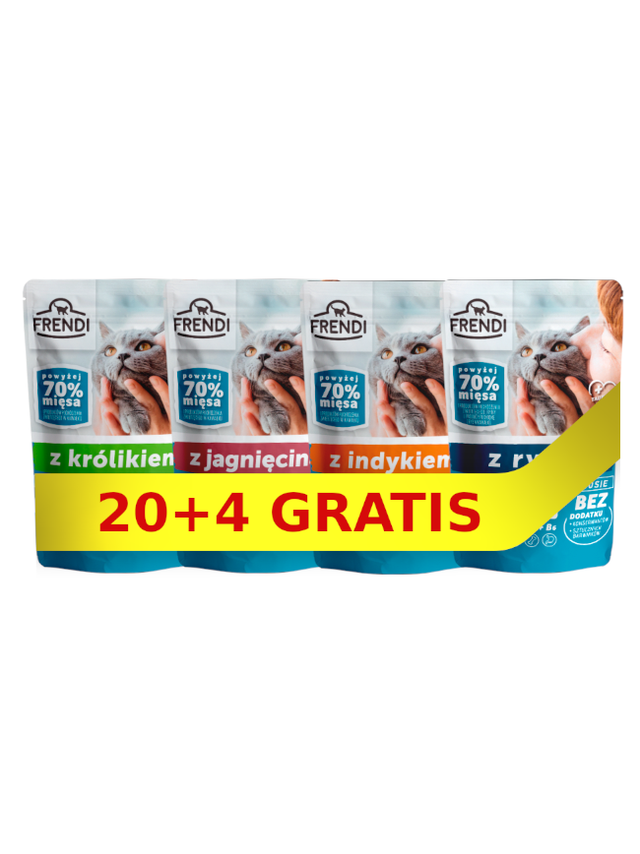 Frendi kawałki w delikatnym sosie Mix smaków 24x100g