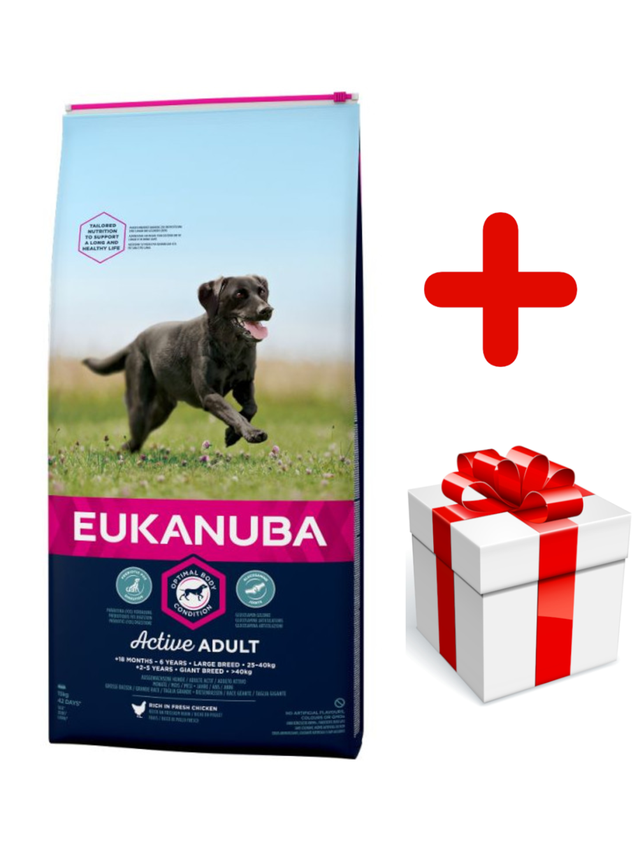 Eukanuba adult large breed chicken 15kg + niespodzianka dla psa GRATIS!
