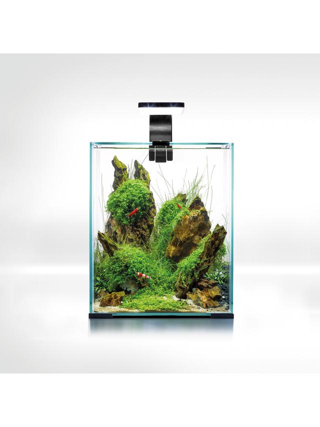 AQUAEL Zestaw Aquael Shrimp Set Smart Day & Night [20l] - czarny