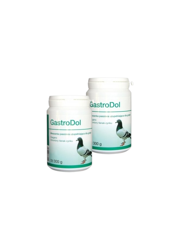 Dolfos GastroDol 2x300g