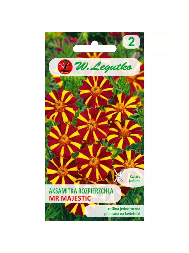 Aksamitka rozpierzchła Mr Majestic mahoniowo-brązowa 0.30g