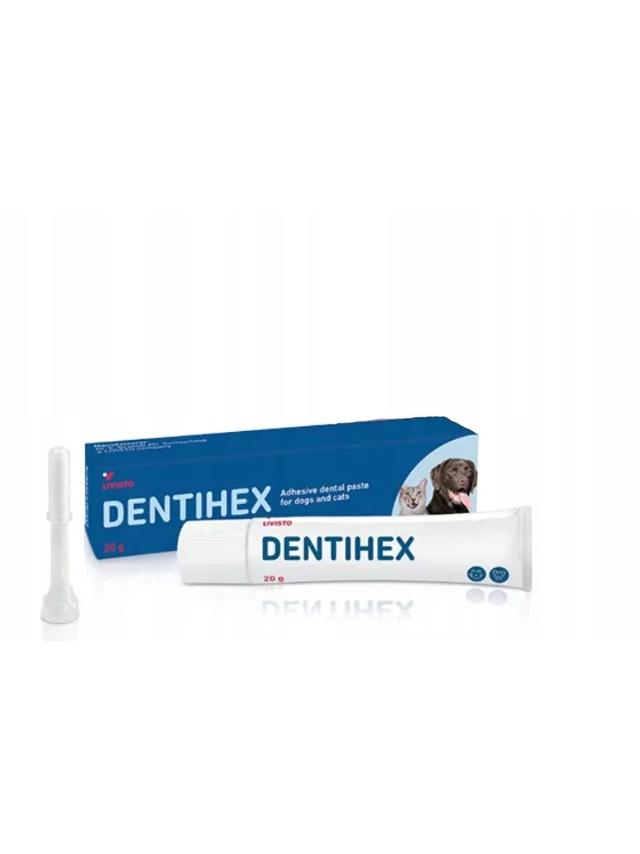 LIVISTO Dentihex Pasta Adhezyjna do zębów dla psa i kota 20g