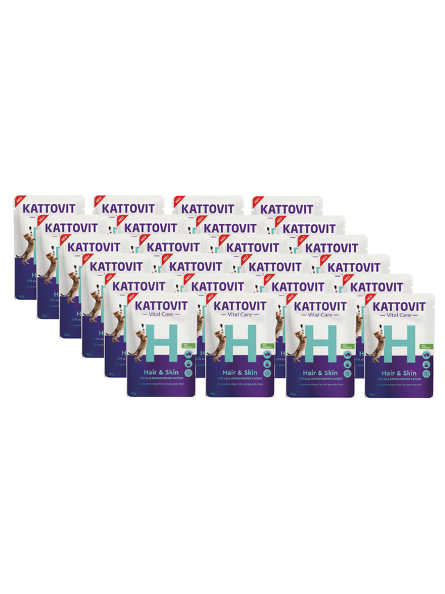 Kattovit Vital Care Hair & Skin 24x85g