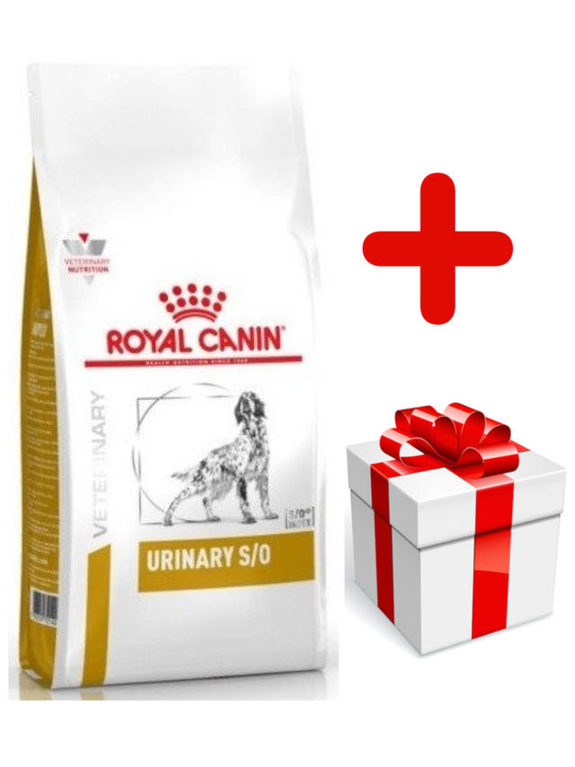Royal Canin Urinary S/O 13kg + niespodzianka dla psa GRATIS!