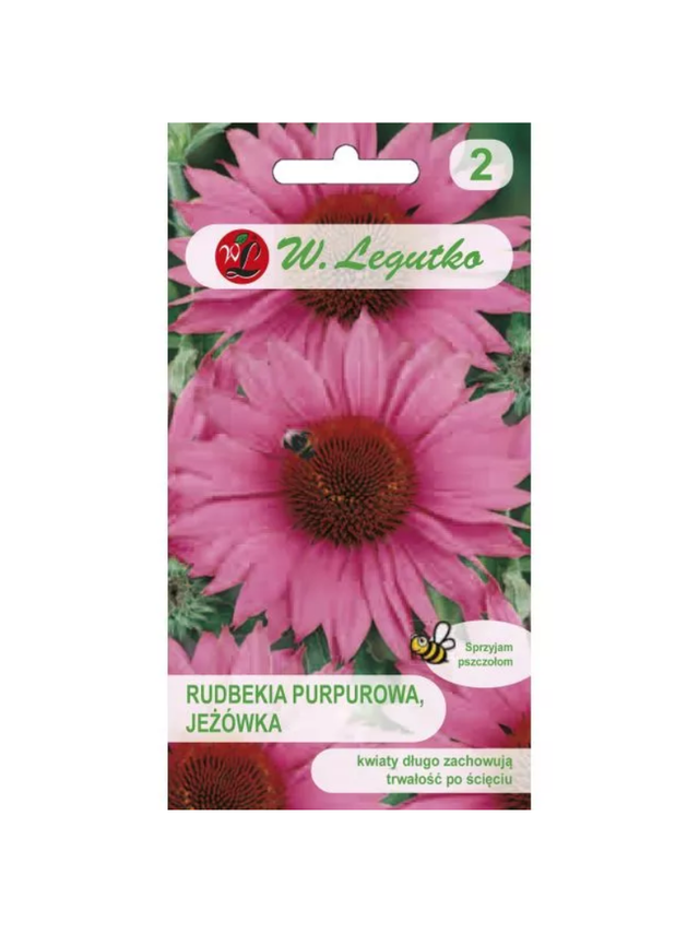 Rudbekia purpurowa, Jeżówka - różowa
