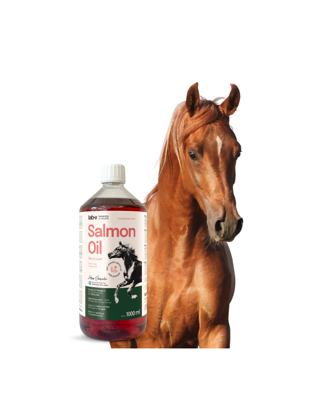 Lab-v Salmon Oil – 100% olej z łososia atlantyckiego dla koni 1000 ml