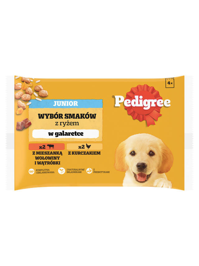 PEDIGREE Junior saszetka 4x100 g - Wybór Smaków z Ryżem w Galaretce, mokra karma pełnoporcjowa dla rosnących psów (kawałki bogate w kurczaka oraz kawałki bogate w mieszankę wołowiny i wątróbki)