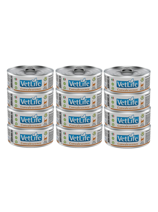 Farmina Vet Life Convalescence Cat 12x85g