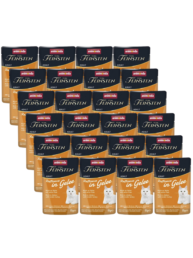 ANIMONDA Vom Feinsten Raffinesse kurczak z indykiem w galarecie 24x85g