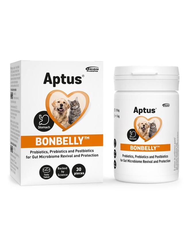 APTUS BONBELLY probiotyki, prebiotyki, postbiotyki i witaminy z grupy B 30tabl.