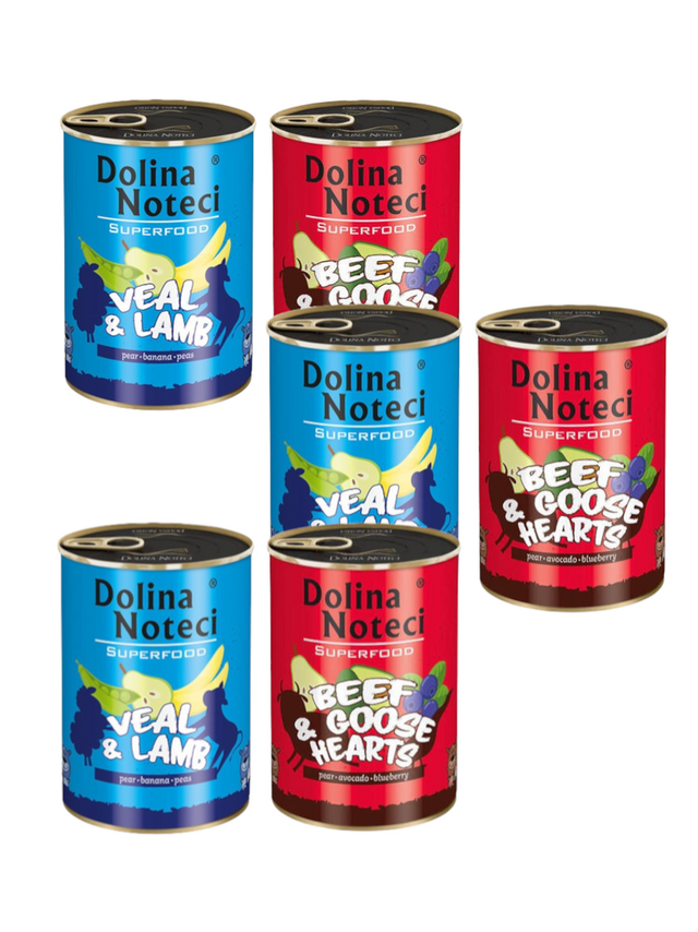 DOLINA NOTECI PREMIUM SUPERFOOD Mix smaków 12x400g