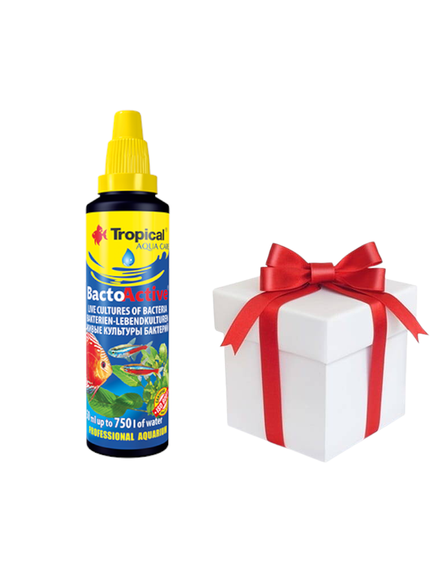 TROPICAL Bacto-Active 30ml + próbka karmy dla rybek Tropical