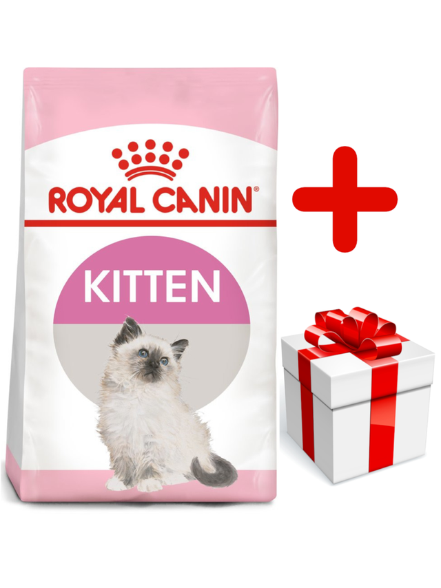 ROYAL CANIN  Kitten 10kg karma sucha dla kociąt od 4 do 12 miesiąca życia  + niespodzianka dla kota GRATIS!