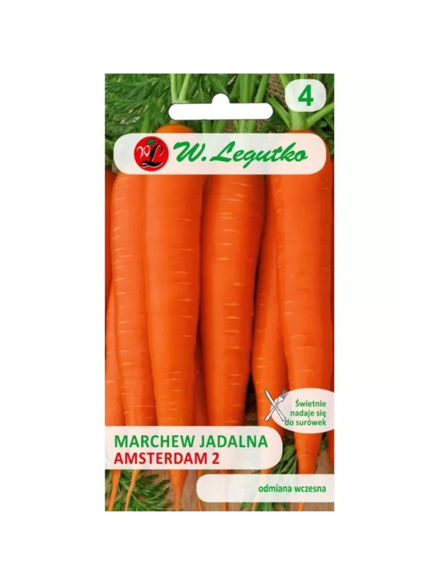 Marchew jadalna Amsterdam 2 (Amsterdamska) - wczesna