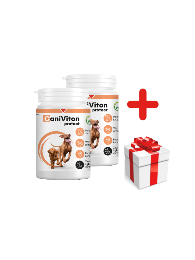 VETOQUINOL Caniviton Protect Karma Uzupełniająca Dla Psów 2x90 tab + NIESPODZIANKA DLA PSA GRATIS
