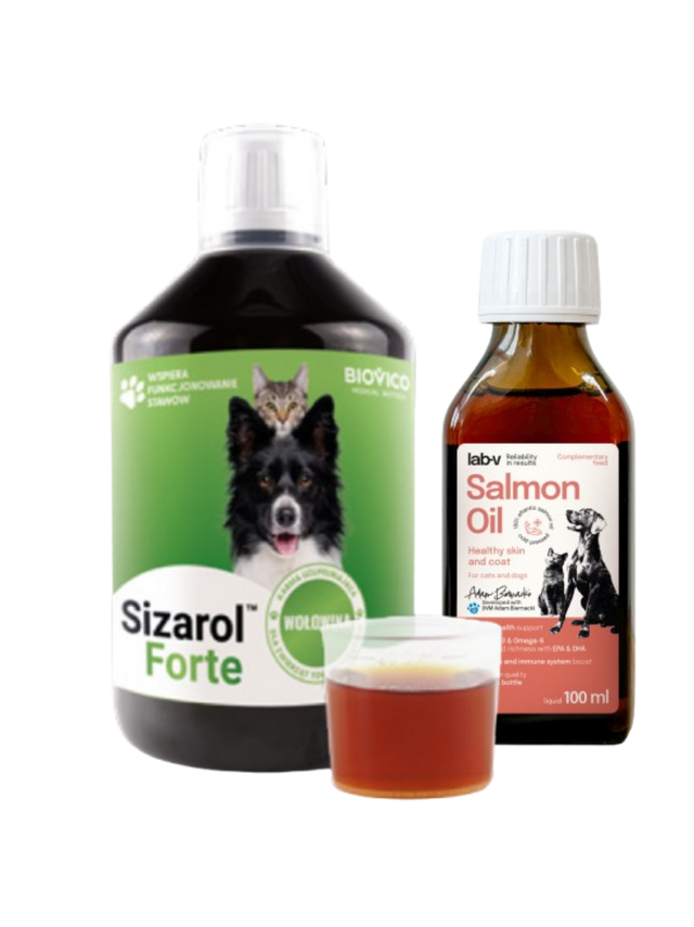 BIOVICO Sizarol Forte 500 ml + Lab-V Olej z Łososia 100% Dla Psa i Kota w Każdym Wieku 100ml Tłoczony Na Zimno GRATIS!!!