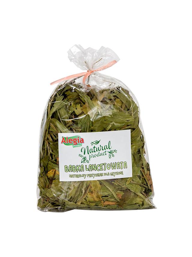 ALEGIA Babka Lancetowata 100g