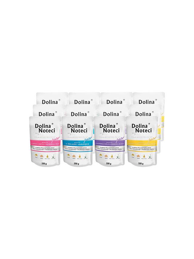 Dolina Noteci PREMIUM dla psów małych ras JUNIOR MIX SMAKÓW 40x100g