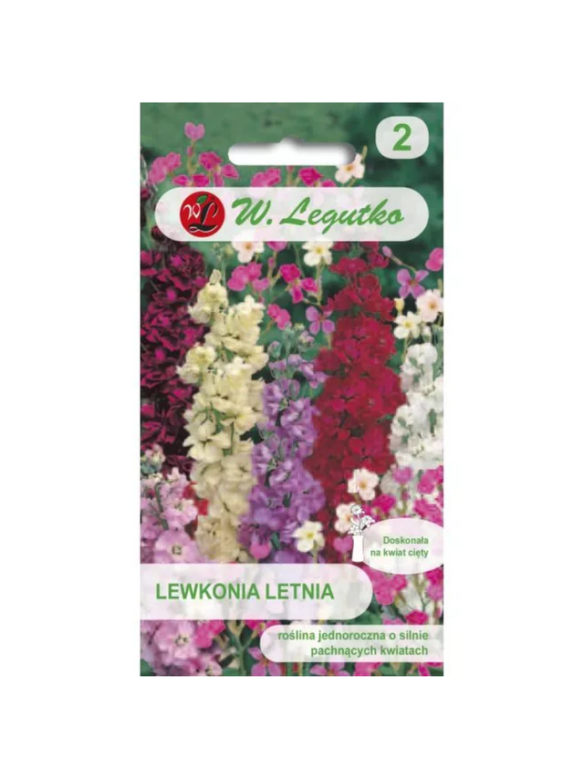 Lewkonia letnia mieszanka