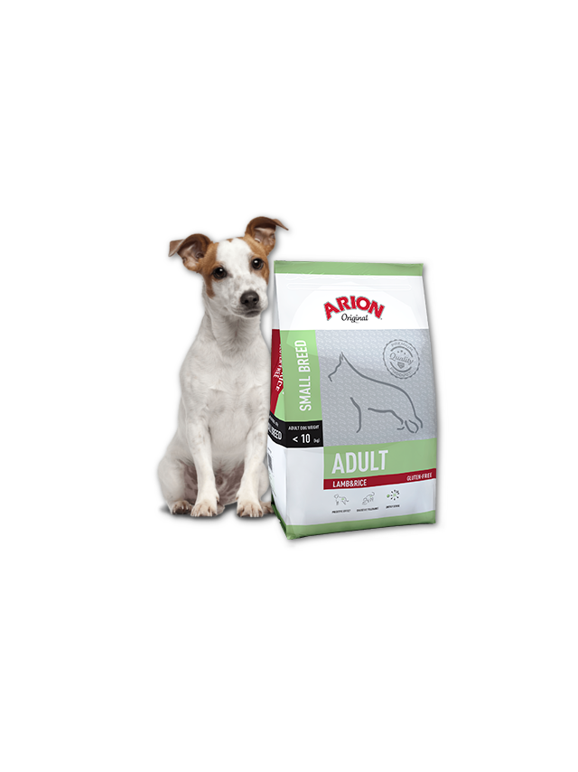 ARION Original Adult Small Breed Lamb & Rice 7,5kg + niespodzianka dla psa GRATIS