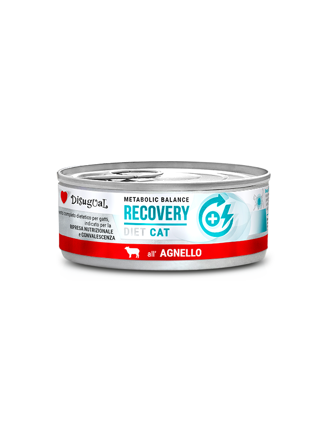 Disugual Karma mokra dla kota Weterynaryjna RECOVERY Jagnięcina (dorosły) 85g