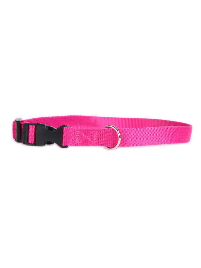 DogStuffs Obroża z plastikową klamrą 20mm/30-55cm różowa