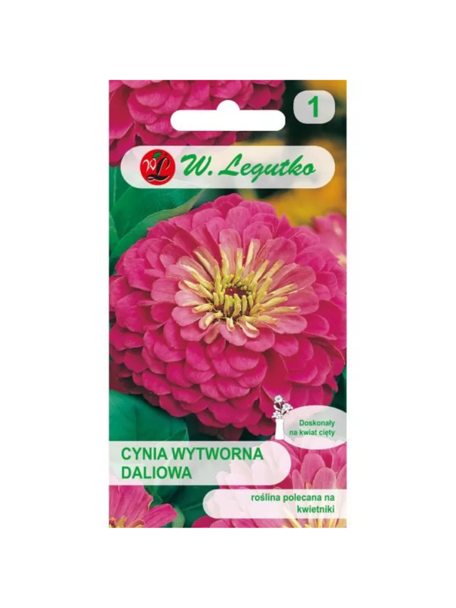 Cynia wytworna daliowa Illumination - różowa