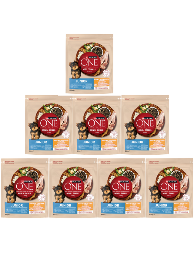 Purina One Junior Mini/Small Karma dla szczeniąt bogata w kurczaka z ryżem 8x800 g