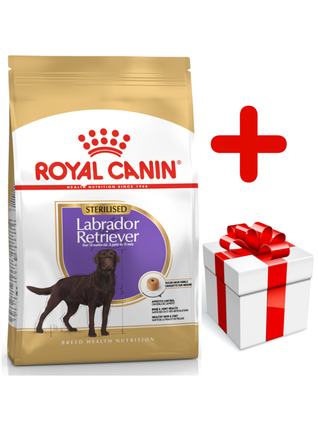 ROYAL CANIN Labrador Retriever Sterilised Adult 12kg + niespodzianka dla psa GRATIS!