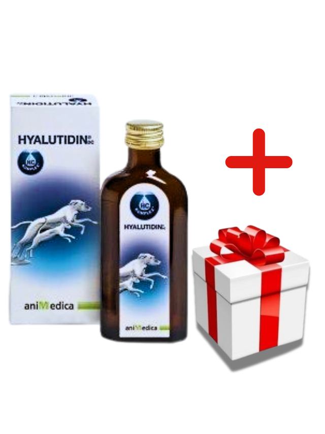 Hyalutidin płyn na stawy 125ml + NIESPODZIANKA DLA KOTA GRATIS!!
