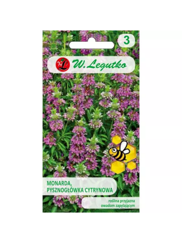 Monarda, Pysznogłówka cytrynowa purpurowo-fioletowa