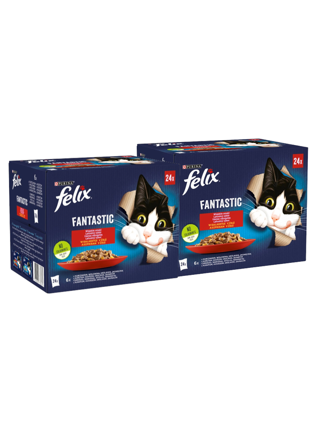 FELIX Fantastic Wiejskie Smaki w galaretce: 48x85g
