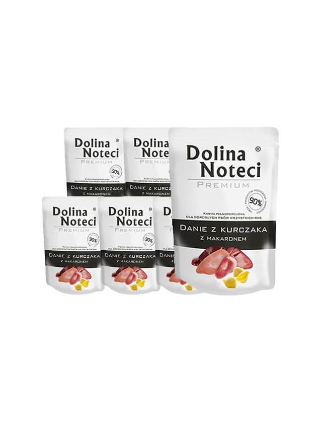 DOLINA NOTECI Danie z kurczaka z makaronem 10x300g-karma mokra dla psa