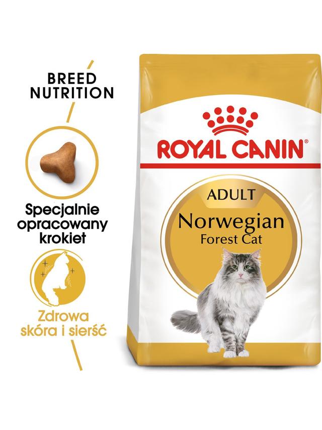 ROYAL CANIN Norvegian Forest Cat Adult 2kg karma sucha dla kotów dorosłych rasy norweski leśny